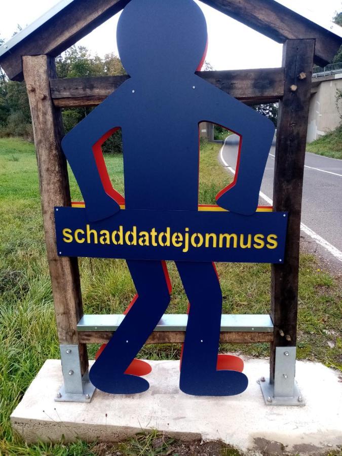 Ferienwohnung Eva Mechernich Esterno foto