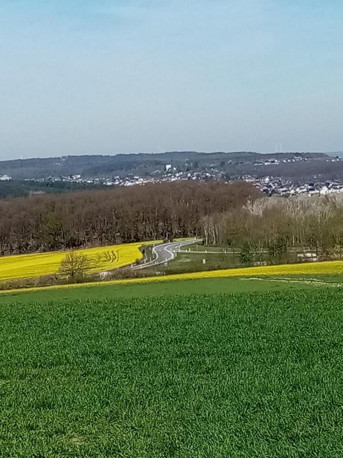 Ferienwohnung Eva Mechernich Esterno foto